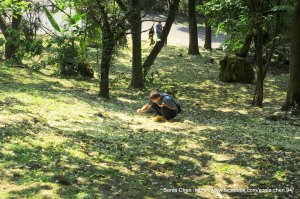 2026 D0426｜ 小百岳賞油桐 ・汐止大尖山步道  & 偽出國「古希臘神殿感」汐止聖德宮