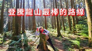 大湳林道上騰龍山(北橫龍山)最棒