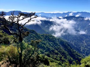 加哈 (加里山、哈堪尼山）O型縱走之大坪登山口起登