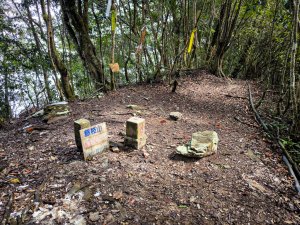 2026-02-08 藤枝山