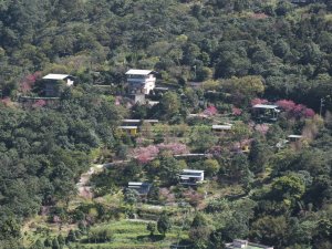 月扇湖山大岩壁-月扇湖山-四分子古道-大格門古道O型