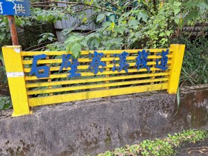 2026微笑山線望月亭桐花段