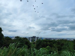 五酒桶山步道