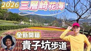 2026北投三層崎花海浪漫登場，首度串聯嗄嘮別公園，16萬盆薰衣草等花卉，編排成七彩花毯，台版富良野花海。全新開箱貴子坑親山步道，過年祈福、走春、賞花好去處。