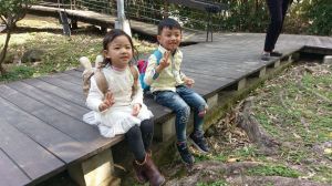 大年初一來芝山岩步道走春踏青