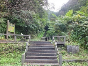 【新北市】平湖森林遊樂區東步道