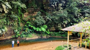 富民親水公園，瑪西桐花步道，大牛稠嶺登山步道