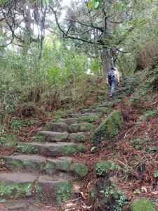 走遍陽明山