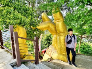 台中南觀音山，南投涵碧樓文學步道，奮起湖步道，鹿鼎神木，檜意森活村，曾文水庫山豬島