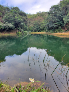 金明山，柯子林山，如意湖，北港山，拱北殿賞楓