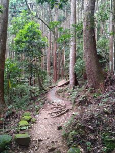 加里山