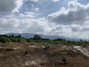 20251115台南牛埔山