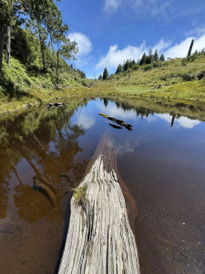 一日往返加羅湖