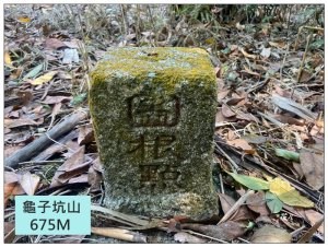 龜子坑山 (南投、魚池)