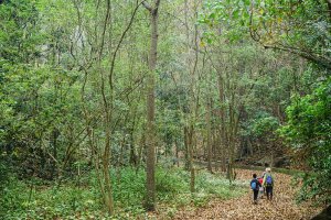 【高雄】美濃六龜基石 - 月眉山、大溪、竹子門、龍肚、河埧頭、竹矢角