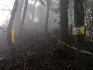 有點挑戰性的溪頭鳳凰山(小百岳#53)