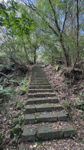 石階與挑夫的百年對話