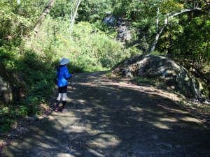 八通關古道社寮段、陳東坑山連走