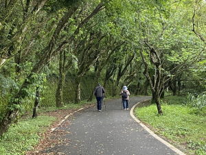 《走進竹子湖的清晨｜慢跑+美食＋泡湯享悠閒》