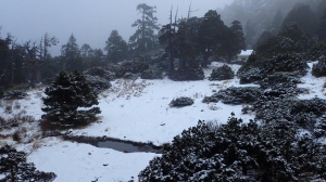 【公告】敬請山友暫時取消四秀線、志佳陽線及大小劍線入園入山通知