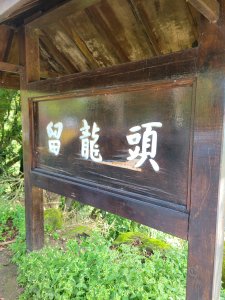 【南投 | 小百岳 金柑樹山】