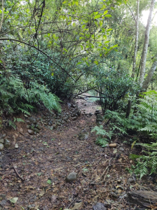 月桃窩古道-緬懷1895抗日保臺戰役130周年
