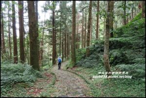 桃園。東眼山自導式步道挑戰小百岳