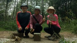 來到溪頭森林遊樂區旅遊，有機會一定要來鳳凰山健走，保證不虛此行