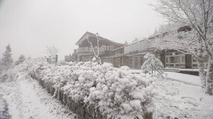 【新聞】太平山下雪了 羅東處8日啟動交管措施