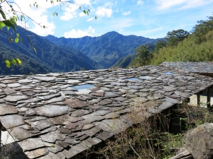 原鄉之旅~司馬庫斯賞楓行