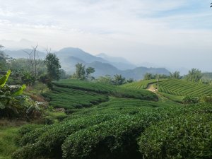 [高雄那瑪夏][二]河表湖前山東北、下河表湖山南、河表湖山、頂河表湖山、拉比嶺山
