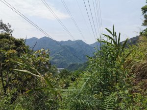 古意自然又清幽的德芙蘭步道 - 4/19