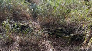 秀林塔次基里溪古關原