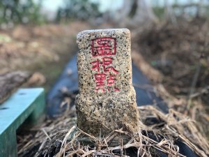 台南市新營、後壁、東山、白河、官田土地調查局圖根點平地基石。埤洋、上茄苳、北馬、木柵、糞祺科、官田