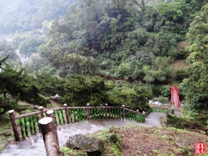 【台北市】貓空茶香環狀步道