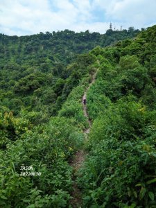 「埔中素密達」---「松柏坑山」---「二八彎古道」小O環5.9K