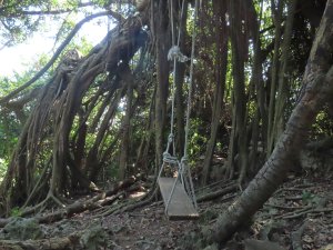 柴山探洞趣Ⅱ