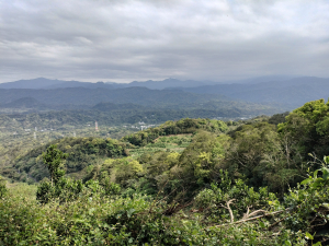 鹿寮坑三元宮→顯伯公→樟之細路(關西)O型縱走
