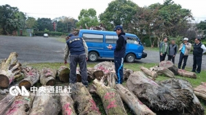 【新聞】涉盜林木10公噸 警擊破山老鼠集團