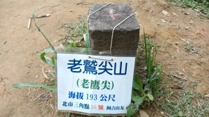汐止區翠湖步道-學頭坡步道-老鷲尖-內溝山步道-翠湖P字走
