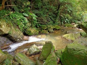 【基隆-臺灣百大必訪步道】 山青水秀的暖東峽谷步道