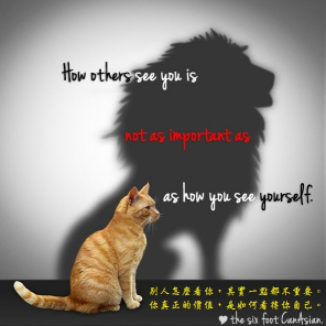 看看Cindy的個人專頁
