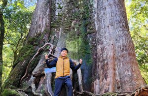 【中級山縱走】羅馬縱走，走進神木的夢幻童話森林世界