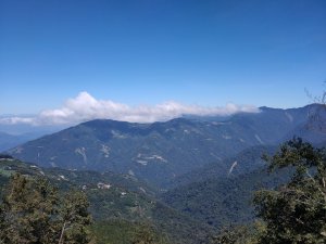 觀霧雲海山林之美