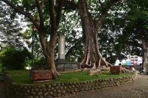 2025-09-18 : 砲台山【台中公園】