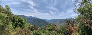 20240420高雄馬馬宇頓山-馬馬宇頓山西峰