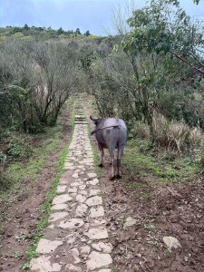 台北 士林 風櫃嘴