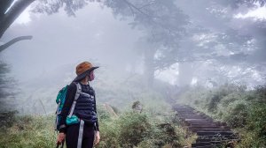 庫哈諾辛山｜一日｜夢幻森林系百岳，拖拉組最後下山時間參考
