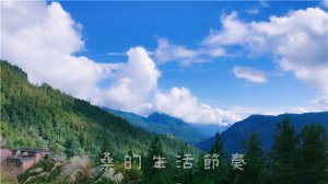 不開車也能暢遊太平山自然森林步道