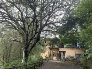 大崎棟古道、騎龍古道(內灣線)